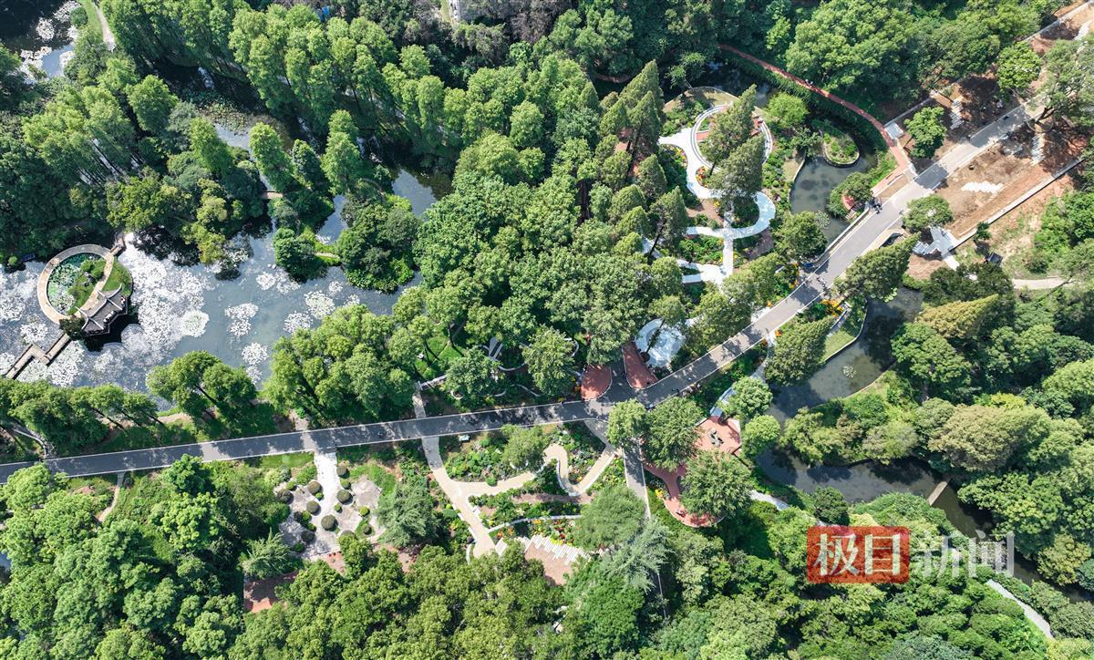 捕鱼来了密珠